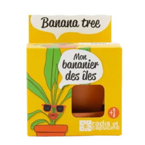 GOJITVENI LONEC ZA SAJENJE BANANE